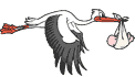 Cigogne
